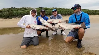 Found a shoal of kob! Fishing for edibles in the Transkei! Remote fishing paradise! Nqabara Ep. 2