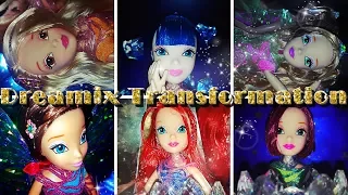 Dreamix Fairy Transformation