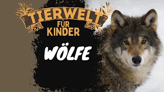 Folge 5: Wölfe - Tierwelt für Kinder - Lernvideo auf Deutsch