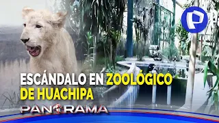 Escándalo en Zoológico de Huachipa: animales e instalaciones en abandono luego del traspaso (1/2)