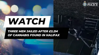 Three men jailed after cannabis farm discovered in Calderdale