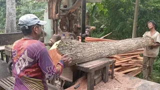 penggergajian kayu mahoni oleh bang kumis part 2 masih buat usuk 3x5 bahan bangunan kandang