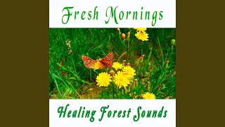 Good Morning Spring: Nature Therapy to Start Your Day with Positive Energy (Fresh Healing...