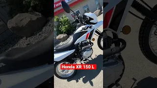 2023 Honda XR 150 L Sound Test / What Do YOU Ride?!?