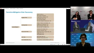 Financial Impact of Climate Risk – CCFI Webinar