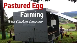 Pastured egg farming with Chicken Caravans