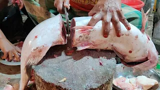 Amazing Giant Sea Pangas Fish Cutting Skills Live In Bangladesh Fish Market | Fish Cutting Skills