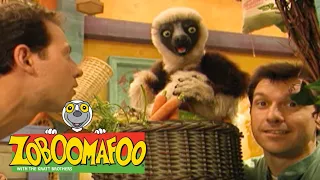 Zoboomafoo with the Kratt Brothers! BEARS | Full Episodes Compilation