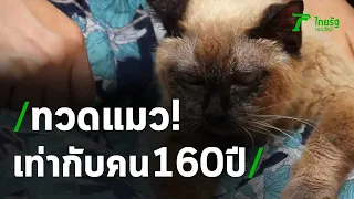 ฮือฮาทวดแมวอายุ 34 ปี เท่ากับคน 160 ปี | 20-03-64 | ข่าวเช้าไทยรัฐ เสาร์-อาทิตย์