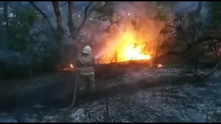 Возгорание сухостоя и кустарников в Сухуме