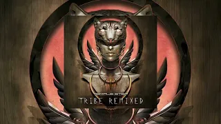Temple Step Project, Murray Kyle - We Are A Tribe (Kundalini Project Remix)