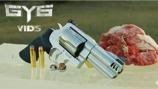 Smith & Wesson 500 vs. Pork Shoulder ...HOLY CRAP!