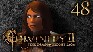 THE FORCEFIELDS | Divinity 2: The Dragon Knight Saga #48