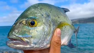 CATCHING PAPIO WITH SARDINES!  | Cooking for my Parents | Papio Fishing | Hawaii Fishing |