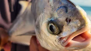 Winter Surf Fishing in Florida - POMPANO Tarzan