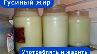 Гусиный жир, разтопил  употреблять ,и жарить