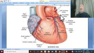 CVS module 13(  Arterial supply  of  the  heart ) , by  Dr. Wahdan .