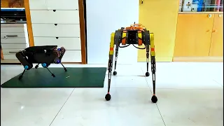 Four-legged robot is too fierce, later can do housework!