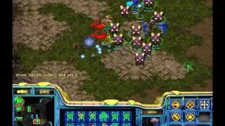 StarCraft Brood War [FPVOD] 30 12 2009 White Ra Новогодний подарок