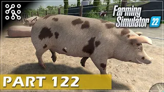 Krmení pro prasata EP122 | Farming Simulator 22 | Lets play | Česky