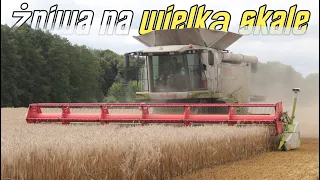 ✓Żniwa na wielką skalę✓Claas Lexion vs 12ha?!✓U.R KWIATEK✓VIXA✓2xFendt 2xJohnDeere✓AgroSzymonTeam✓