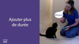 Apprenez à n'importe quel chat, AeroKat* - 5 : Inhaler le médicament