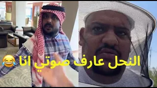 النحل عارف صوتي انا 😂/يوميات بوريان