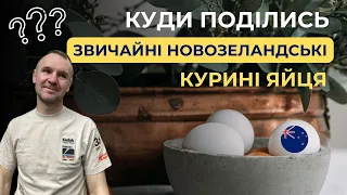 Куди поділися звичайні курячі яйця в Новій ЗЕЛАНДІЇ.