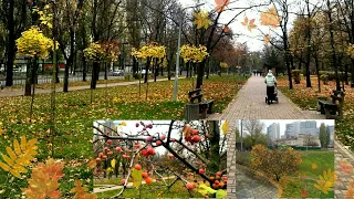 #Русановка, #Киев. #Осень, две прогулки в ноябре. #city_walk #киевлянин #kyiv #ukraine