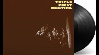 Trifle   First Meeting  1971 UK, Psychedelic Jazz Rock