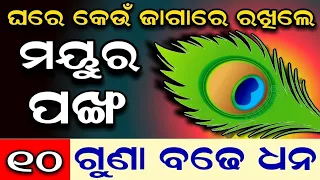 ( ମୟୂର ପଙ୍ଖ ) ଘରେ କେଉଁଠି ରଖିଲେ ୧୦ଗୁଣା ଧନ ବଢ଼ିଥାଏ | Pickock Feather vastu tips odia#ବାସ୍ତୁଶାସ୍ତ୍ର