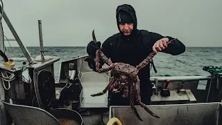 King crab fishing in Norway North (Karalisko krabju zveja Norvēģijas ziemeļos)