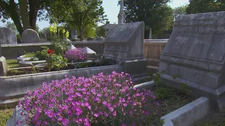 Grave gardening