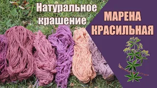 Крашение натуральными красителями. Марена красильная | Natural Dye Experiment