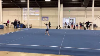 Wu Guonian Classic 2022 - Floor Routine - Level 3 Boys Gymnastics