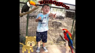 Niño en el zoologico conociendo a los animales (videos para niños) bolivia