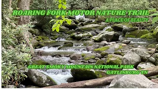 Roaring Fork Motor Nature Trail | Great Smoky Mountains National Park | Gatlinburg TN