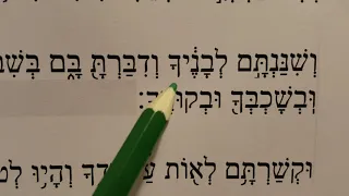 Ve'ahavta - first paragraph of Shema - with trope