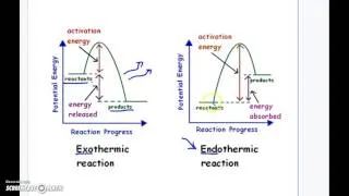 Endothermic Vs. Exothermic Reaction Graphs