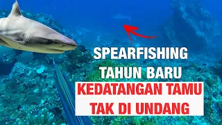 SPEARFISHING TAHUN BARU || CARI IKANG BAKAR GUYS🔥