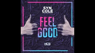 Syn Cole - Feel Good (Extended Mix) [NCS Release]