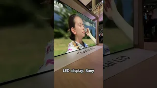 220" Sony Crystal LED vs 272" LG MicroLED TV!