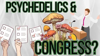 Congressional Spotlight: Marijuana & Psychedelics Reform Proposals Unveiled!