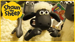 Timmy's BIG Pizza Wish 🍕🍿 Shaun the Sheep Full Episodes 🐑 Cartoons for Kids