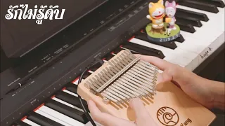 รักไม่รู้ดับ - ดิ อินโนเซ้นท์ version | Kalimba cover