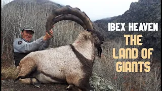 Bezoar Ibex Hunting In The Land of Giants