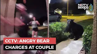 Caught On Cam: Angry Bear Charges At Couple And Their Dog