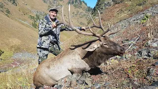 Maral (Wapiti) hunting in Kazakhstan with ProfiHunt