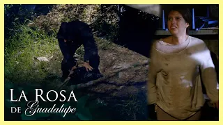 Tiran al bebé de Celia en un lote baldío | La rosa de Guadalupe 4/4 | Viral