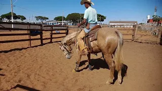 nike boy , proprietário Batata